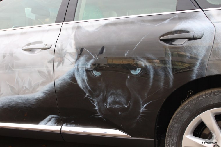 Аэрография пантера