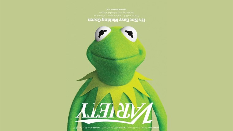 Фон с лягушками милые