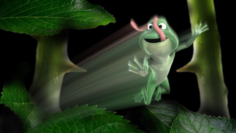 Черепаха паттерн