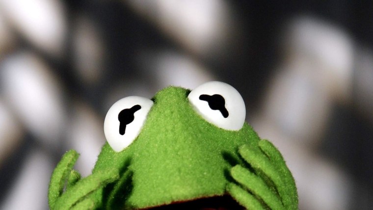 Обои на рабочий стол лягушка