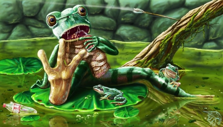 Красивые обои с лягушками