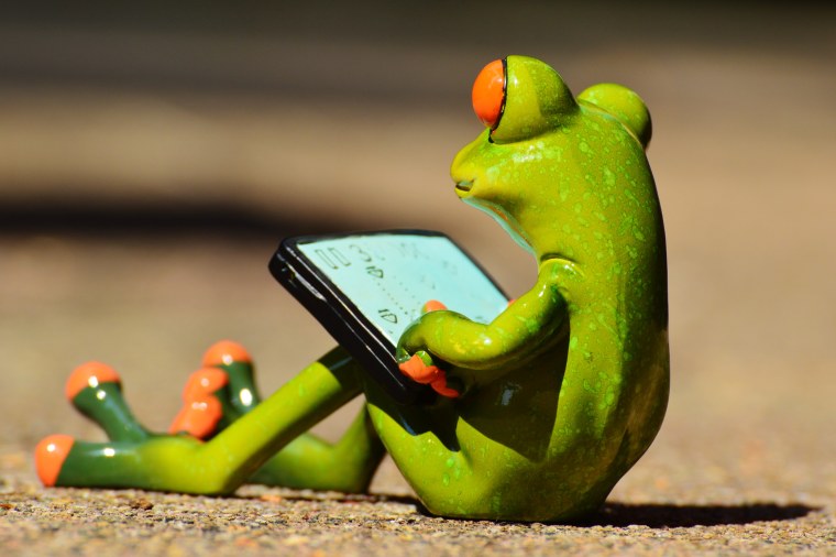 У лягушки юбилей