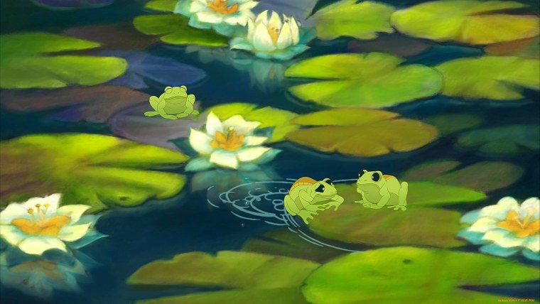 Прикольные лягушки