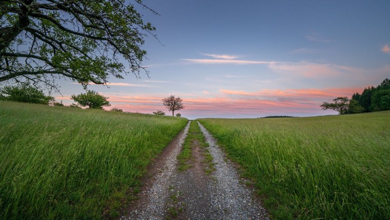 Лето пейзаж дорога
