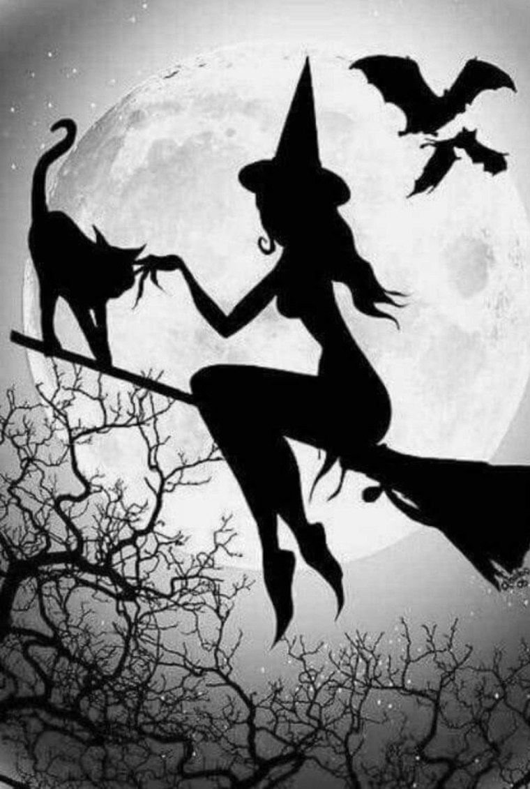 Хэллоуин ведьмочка на метле