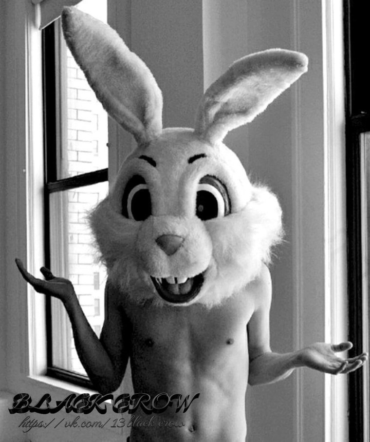 Тайная жизнь домашних животных зайчик