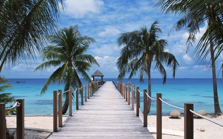 Пляж с пальмами