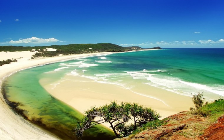 Море пляж пальмы