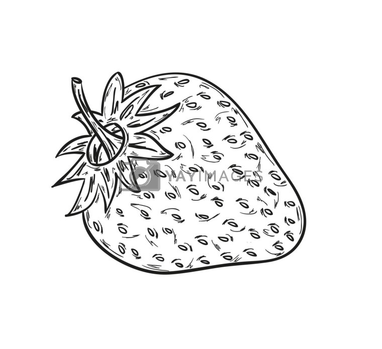 Земляника раскраска