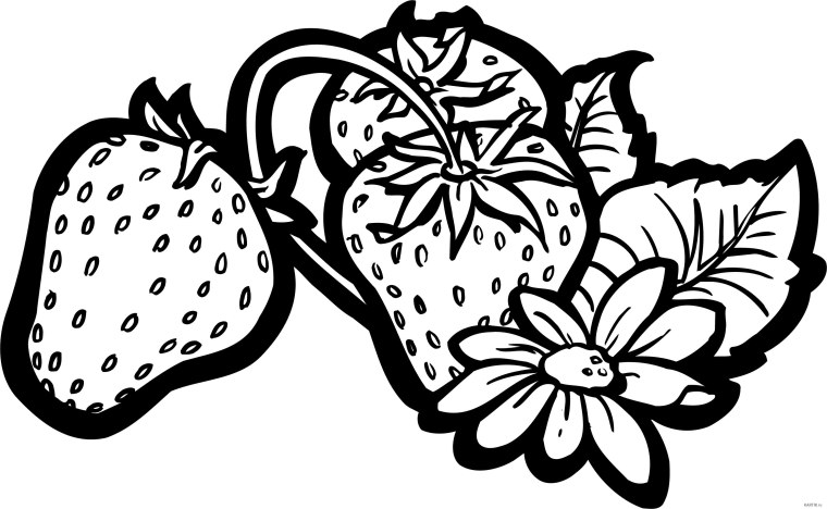 Фрукты и ягоды