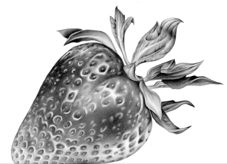 Клубника Графика