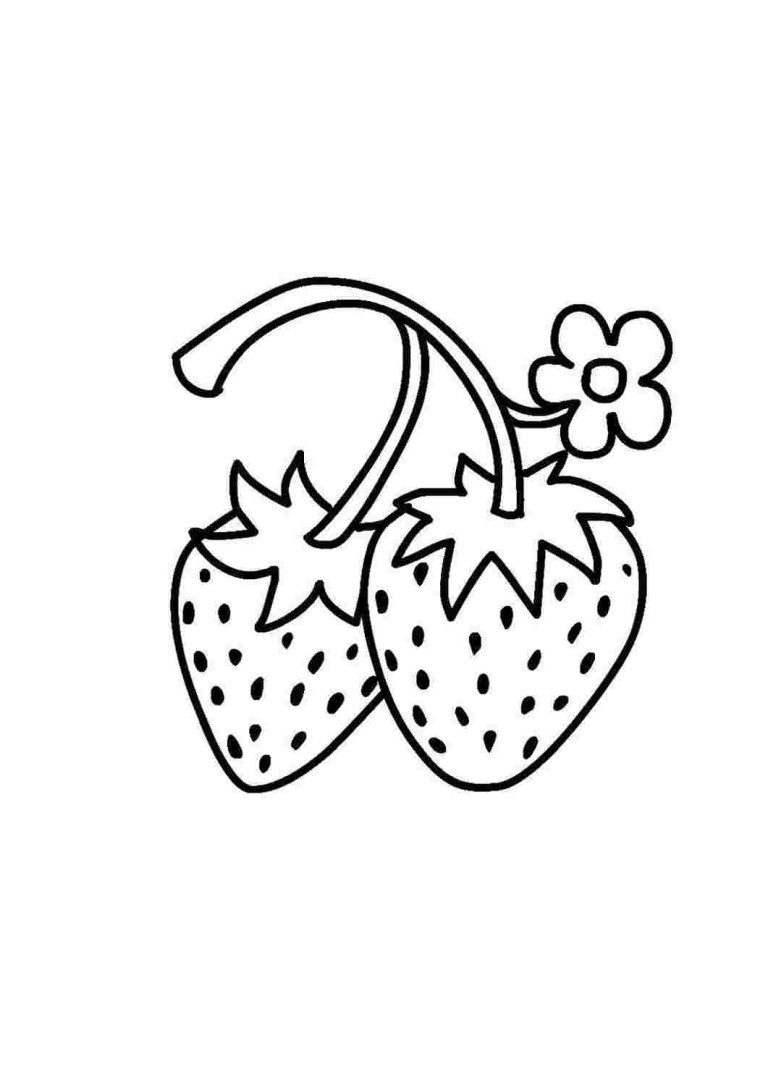 Земляника куст контур вектор