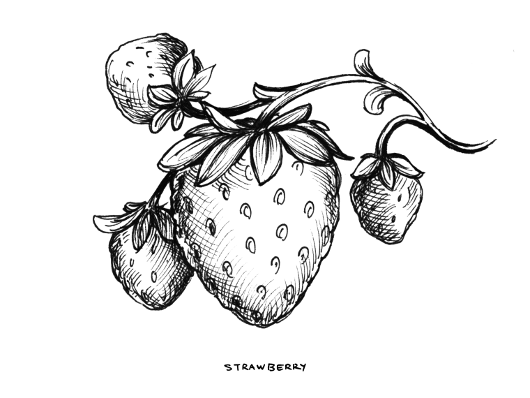 Клубника Графика