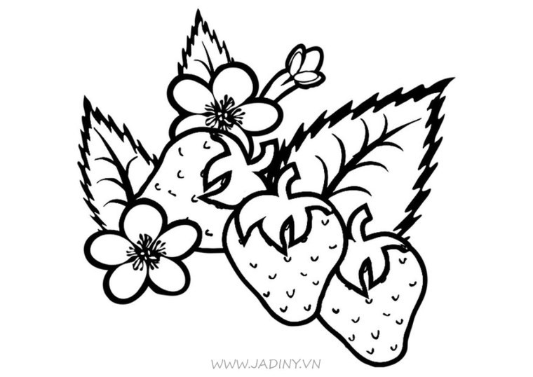 Ягоды раскраска для детей