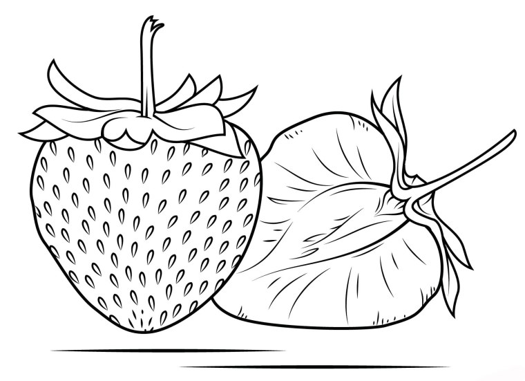 Зарисовки ягод