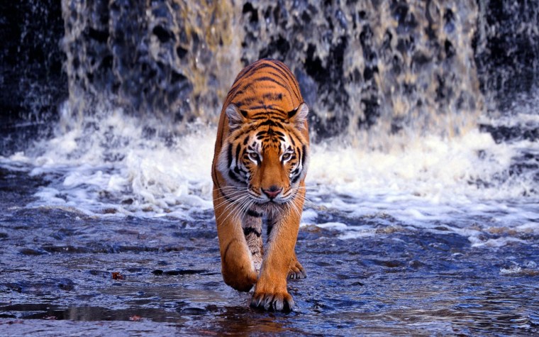 Морской заповедник Саут-Уотер-Кей,