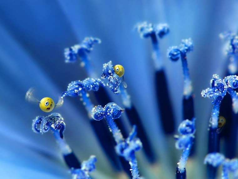 Живая природа водопады