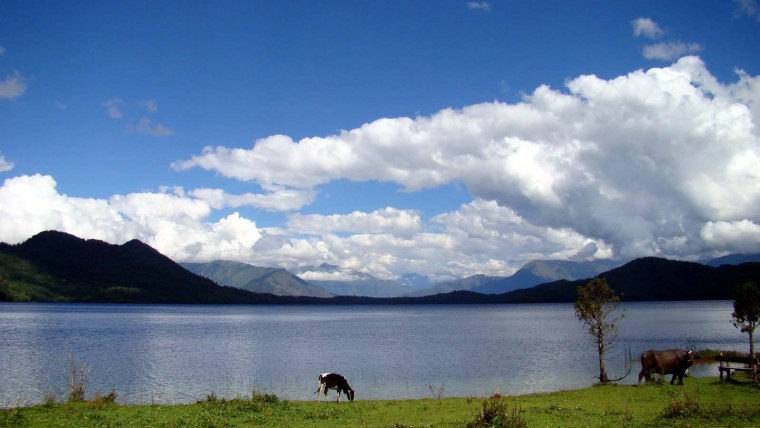 Фотообои туман в горах