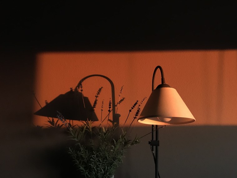 Эстетика оранжевого и коричневого