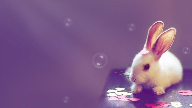 Хомячок арт