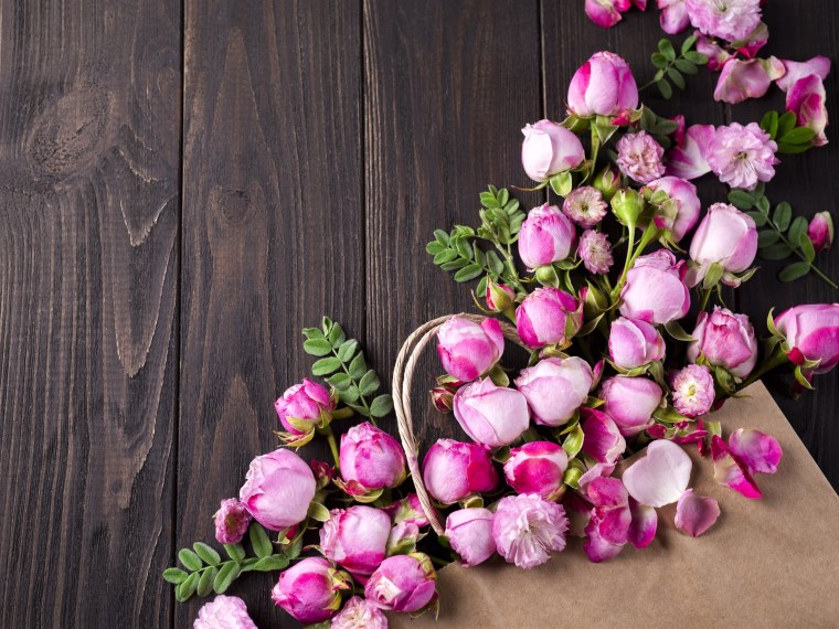 Векторная Графика