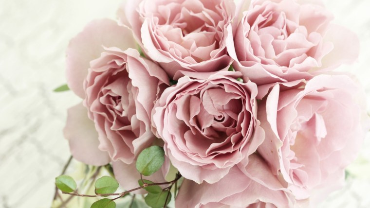 Эустома Эстетика