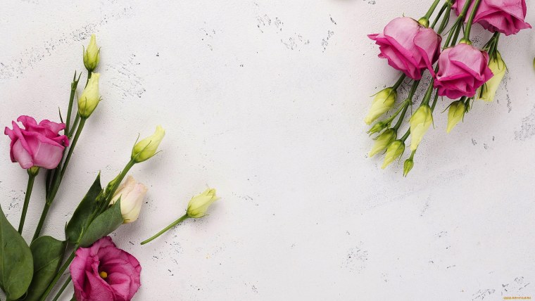 Нежные обои