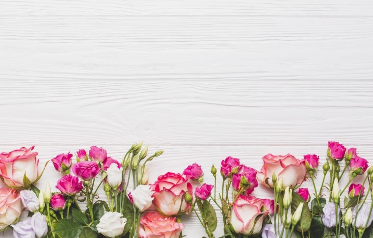 Xxl4-019, Komar, Komar