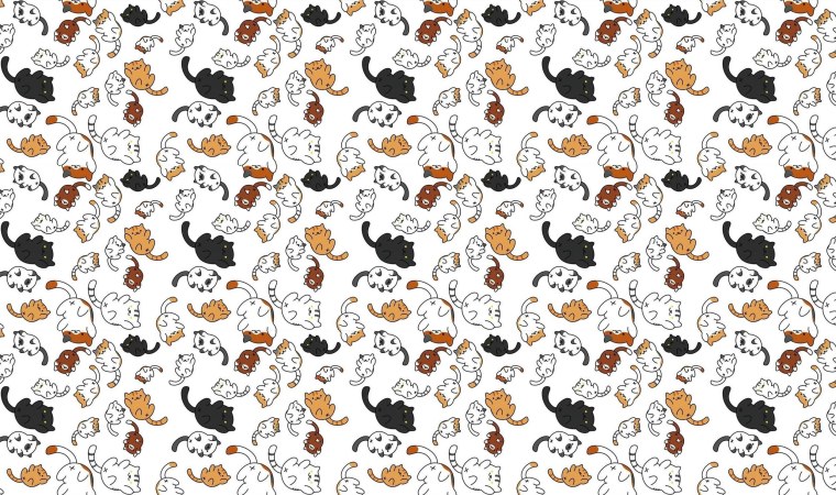 Принты с кошками