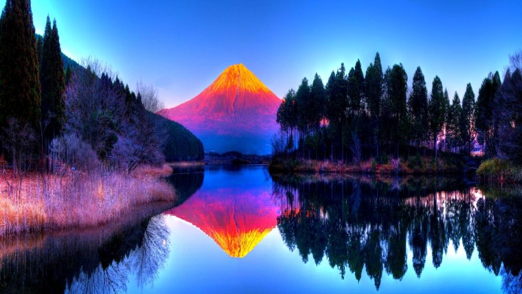 Красивая яркая природа