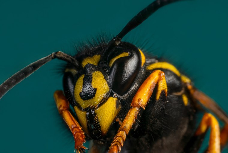 Глаза для ОС