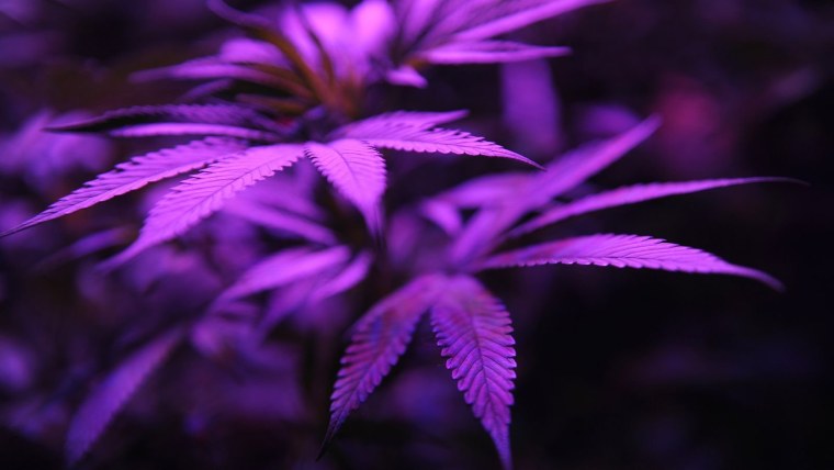 Комната аниме ночью без людей