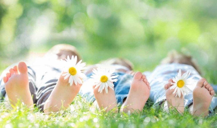 Счастливая семья солнце