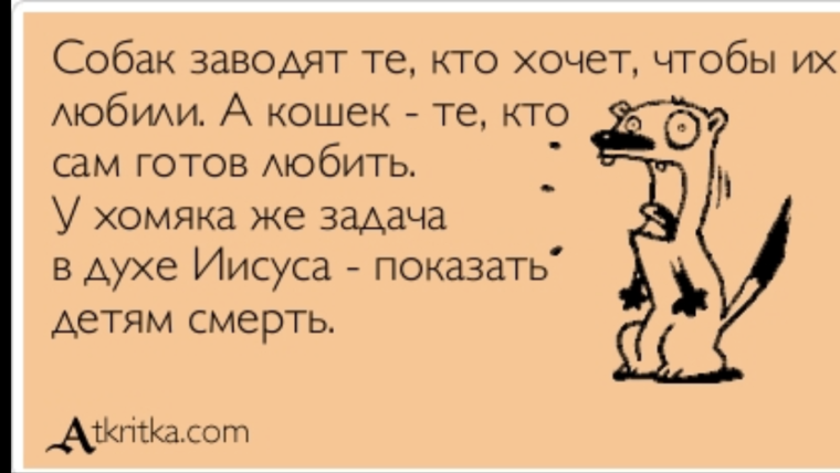 Трудный ребенок Мем