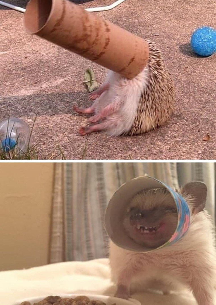 Девочка в розовом Мем