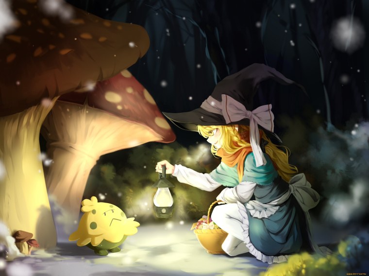 Marisa kirisame Mushroom