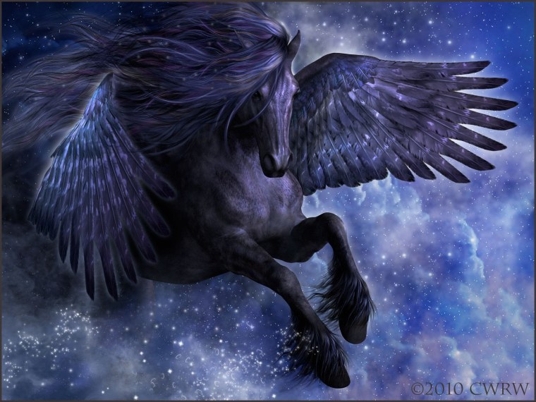 Черная лошадь с крыльями