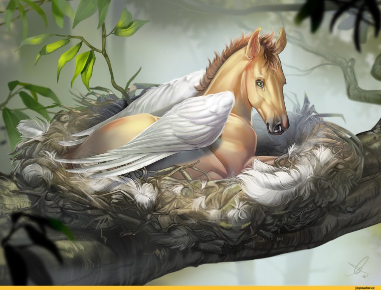 Лебер лошадь