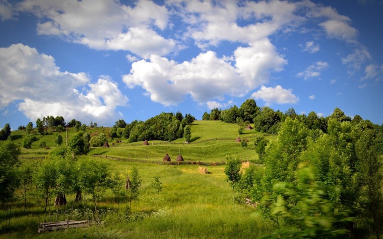 Родные просторы Пушгоры панорама