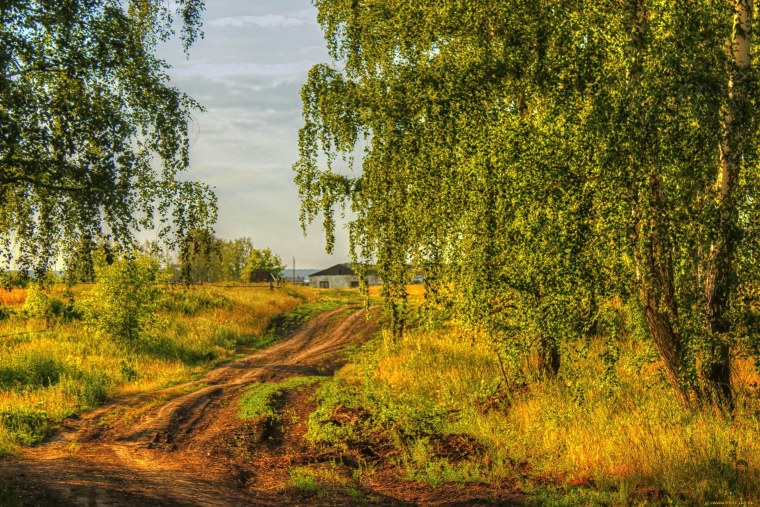 Деревня Березки в Рязанской губернии