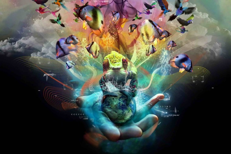 Воображение человека