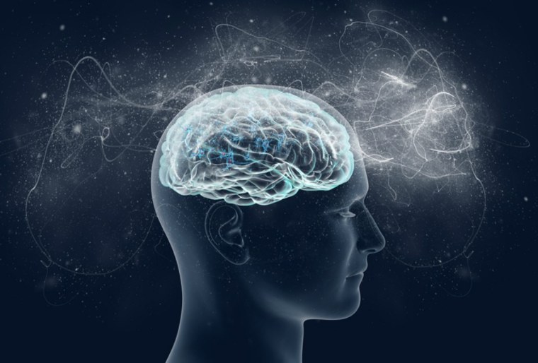 Мозг Эстетика