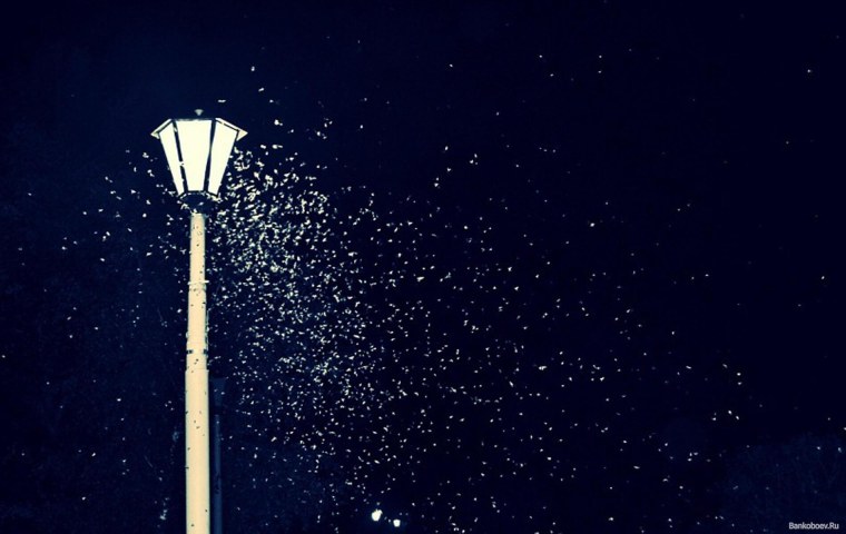 Снегопад фонарь