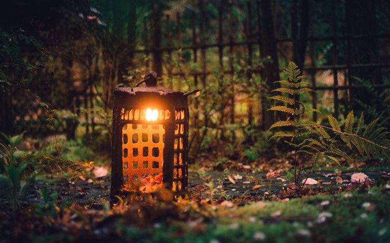 Дерево с фонариками