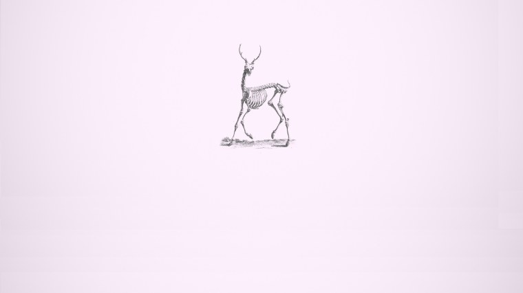 Рабочий стол Минимализм