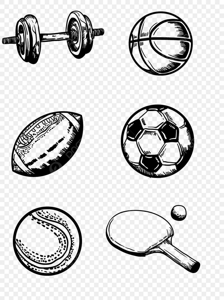 Иллюстрации со спортивным инвентарем вектор