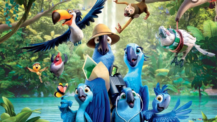 Рио 2011 Найджел