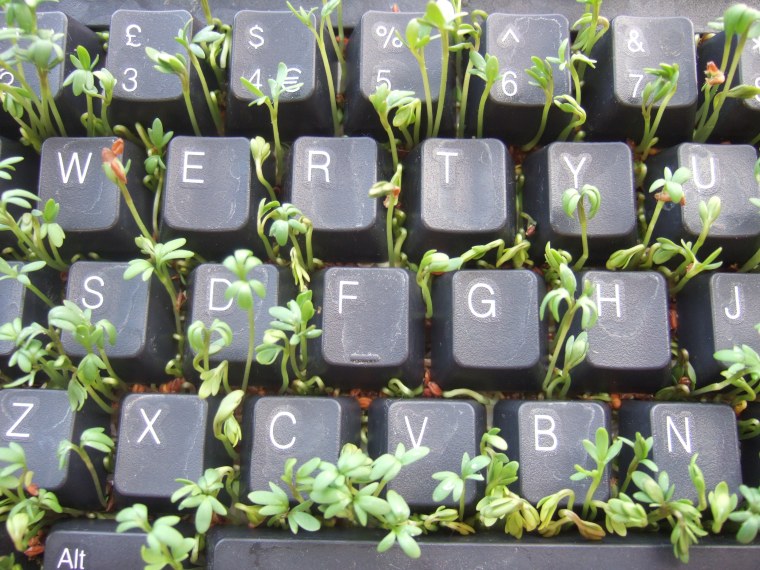 Ноутбук на кровати