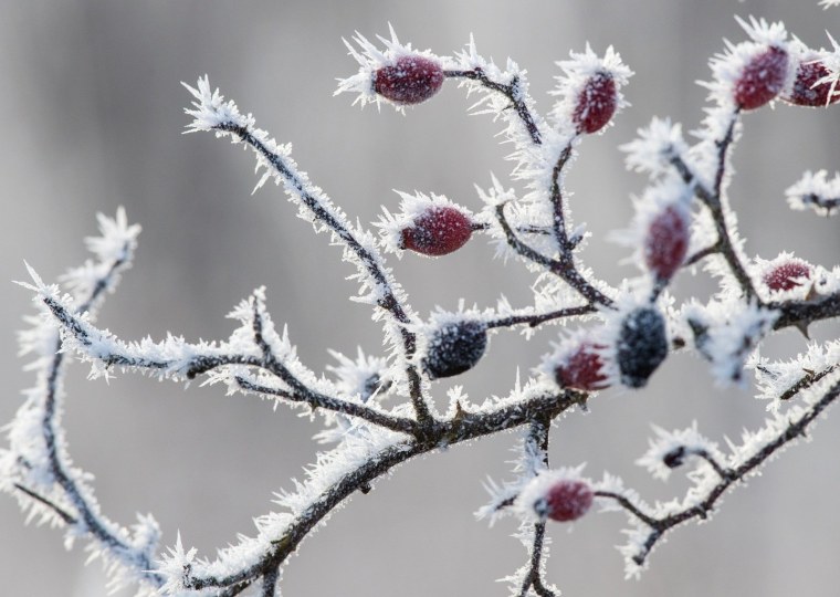 Иней десублимация