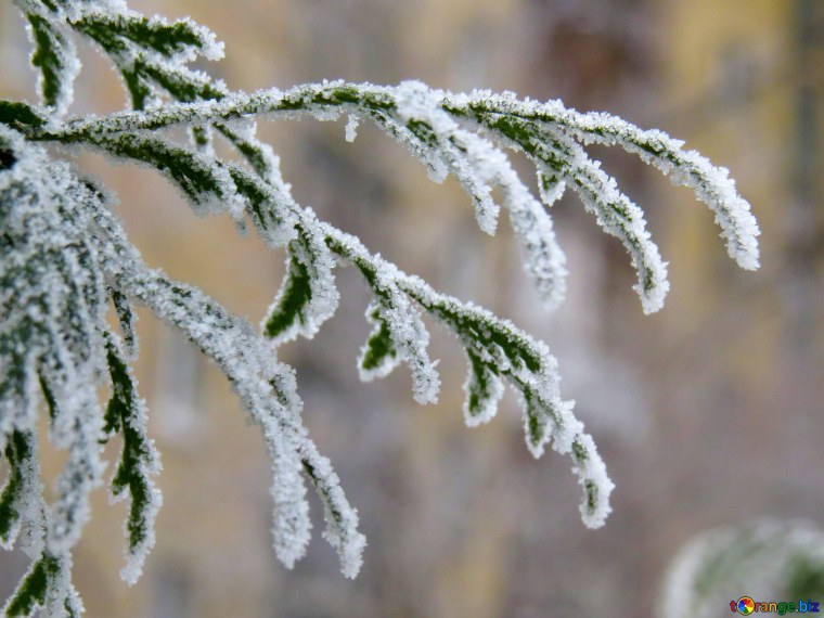 Иней это для детей